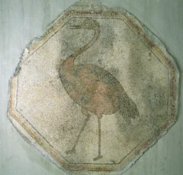 Mosaic depicting an ostrich, from Salkim, Turkey